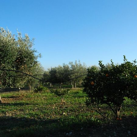 Agriturismo - B&B "La Funicolare" Francavilla Marittima ภายนอก รูปภาพ
