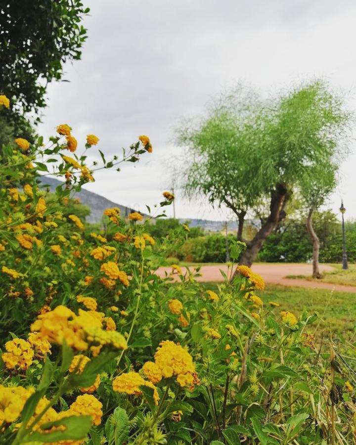 Agriturismo - B&B "La Funicolare" Francavilla Marittima ภายนอก รูปภาพ