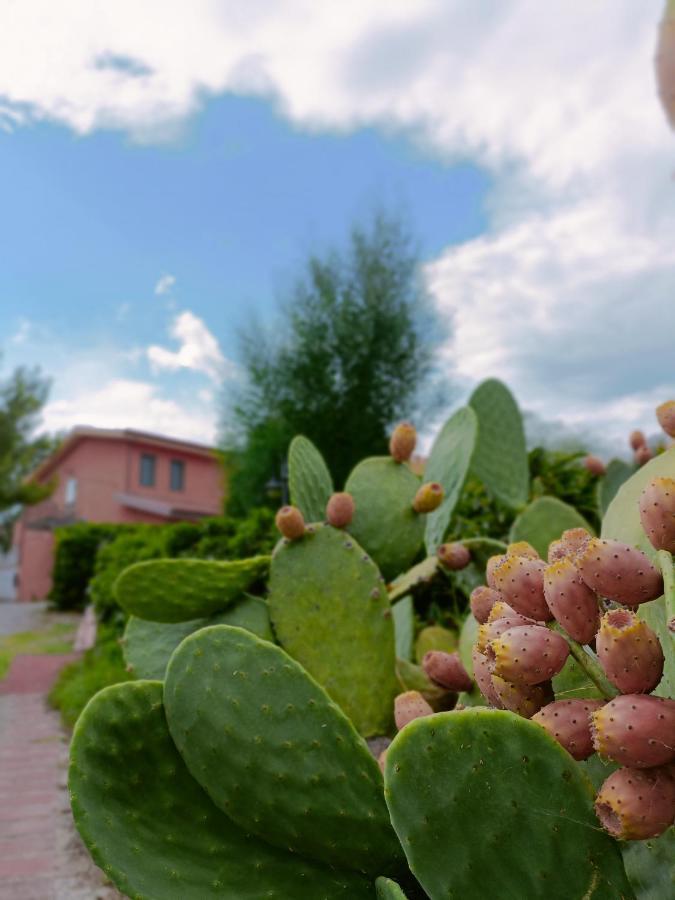Agriturismo - B&B "La Funicolare" Francavilla Marittima ภายนอก รูปภาพ