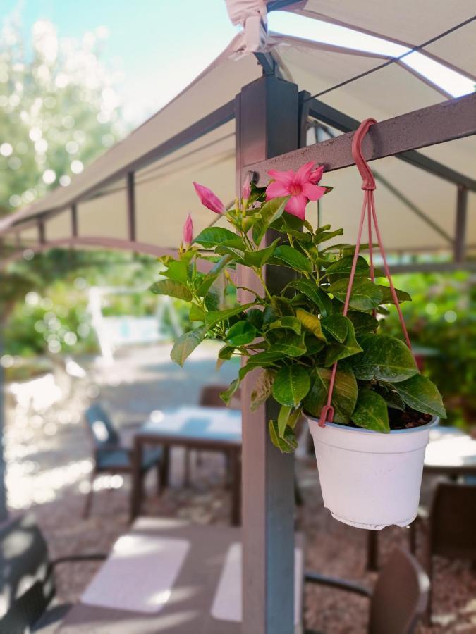 Agriturismo - B&B "La Funicolare" Francavilla Marittima ภายนอก รูปภาพ