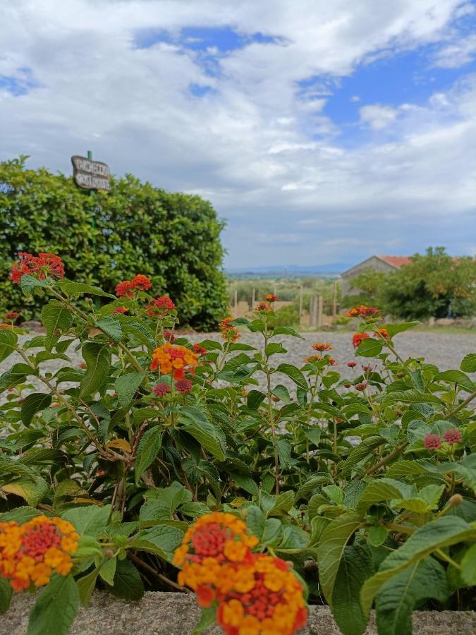 Agriturismo - B&B "La Funicolare" Francavilla Marittima ภายนอก รูปภาพ