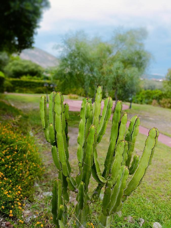 Agriturismo - B&B "La Funicolare" Francavilla Marittima ภายนอก รูปภาพ