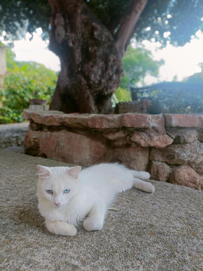 Agriturismo - B&B "La Funicolare" Francavilla Marittima ภายนอก รูปภาพ