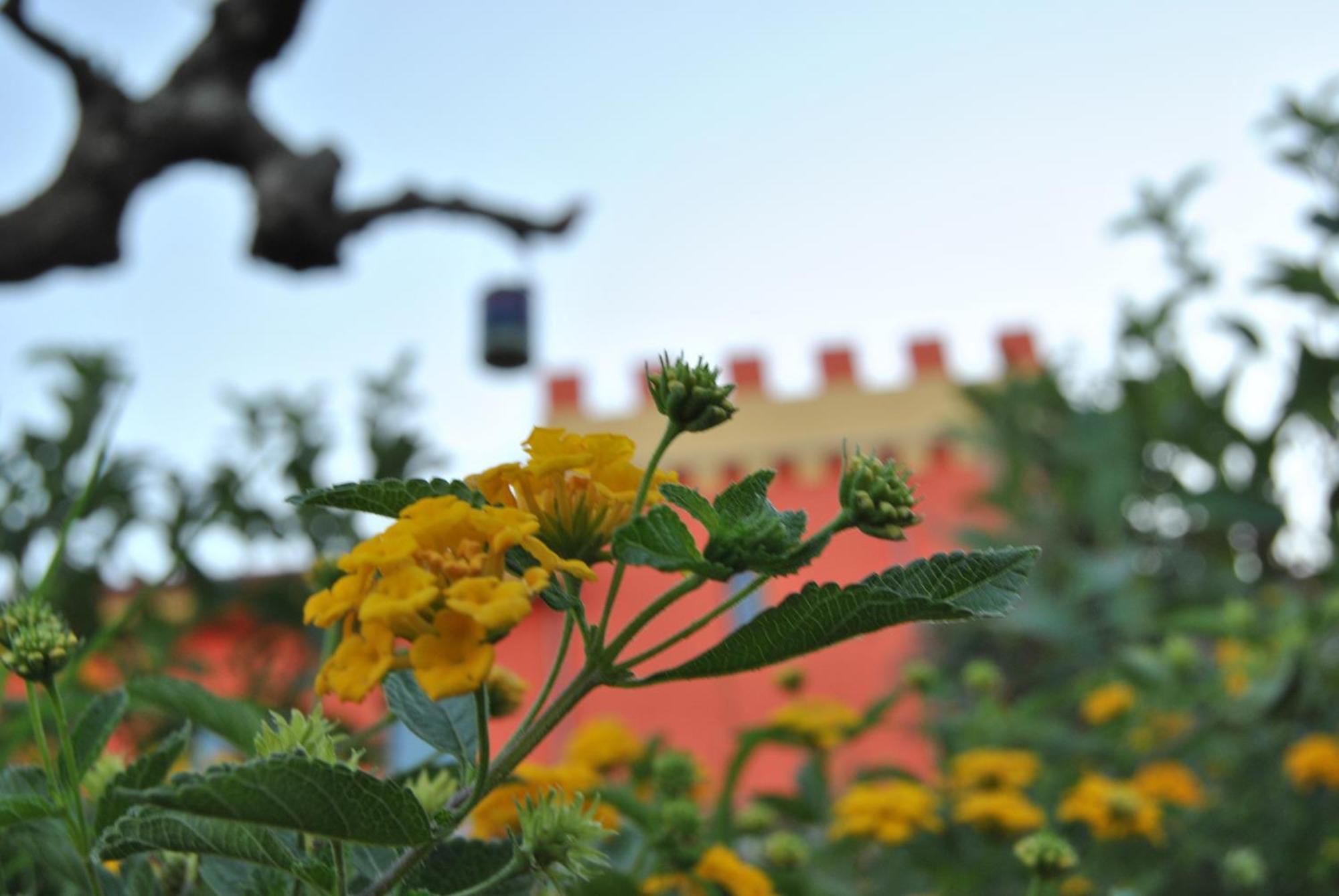 Agriturismo - B&B "La Funicolare" Francavilla Marittima ภายนอก รูปภาพ