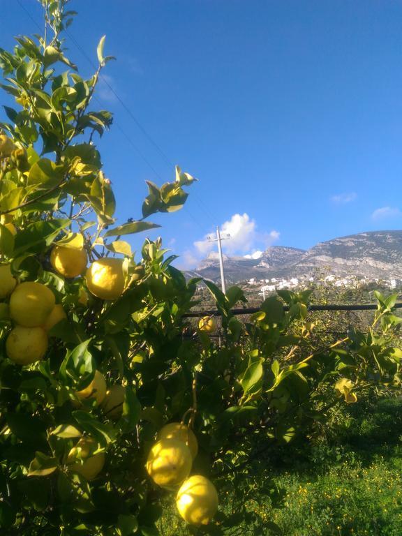 Agriturismo - B&B "La Funicolare" Francavilla Marittima ภายนอก รูปภาพ